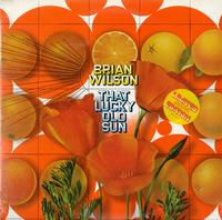 Brian Wilson - That Lucky Old Sun
