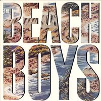 The Beach Boys - The Beach Boys -  Preowned Vinyl Record