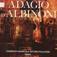 Camerata Musicale Arturo Palavese - Adagio d'Albinoni -  Preowned Vinyl Record