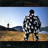 Pink Floyd - Delicate Sound of Thunder