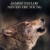 James Taylor - Never Die Young -  Preowned Vinyl Record
