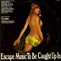 Various Artists - Escape Music To Be Caught Up In -  Preowned Vinyl Record