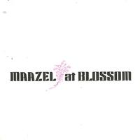 Maazel, The Cleveland Orchestra - Maazel At Blossom -  Preowned Vinyl Record