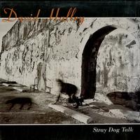 David Halley - Stray Dog Talk
