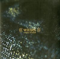 Witxes - A Fabric of Beliefs
