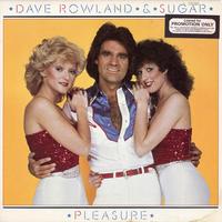 Dave & Sugar - Pleasure -  Preowned Vinyl Record