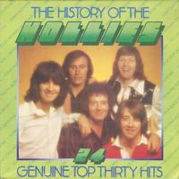 The Hollies - The History Of The Hollies -  Preowned Vinyl Record