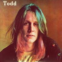 Todd Rundgren - Todd -  Preowned Vinyl Record