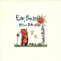 Edie Brickell & New Bohemians-Shooting Rubberbands at the Stars