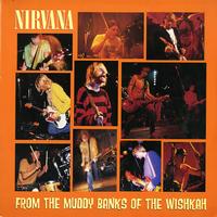 Nirvana - From The Muddy Banks Of The Wishkah -  Preowned Vinyl Record