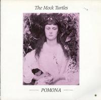 The Mock Turtles - Pomona