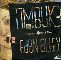 Timbuk 3 - Eden Alley -  Preowned Vinyl Record