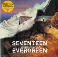 Seventeen Evergreen - Steady On, Scientist -  Preowned Vinyl Record