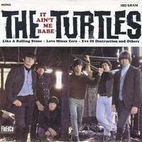 The Turtles - It Ain't Me Babe