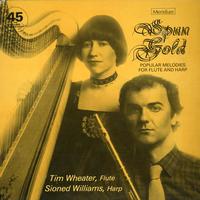 Tim Wheater and Sioned Williams - Spun Gold