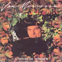 Van Morrison - A Sense Of Wonder -  Preowned Vinyl Record