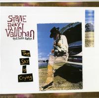 Stevie Ray Vaughan and Double Trouble - The Sky Is Crying -  Preowned Vinyl Record
