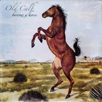 Old Calf - Borrow a Horse -  Preowned Vinyl Record