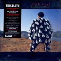 Pink Floyd - Delicate Sound of Thunder