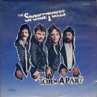 The Spongetones - Torn Apart