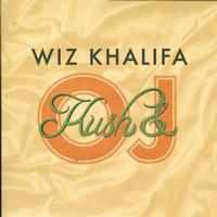 Wiz Khalifa - Kush & OJ -  Preowned Vinyl Record