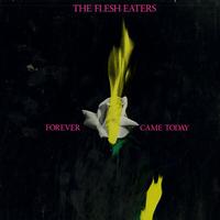 The Flesh Eaters - Forever Came Today -  Preowned Vinyl Record