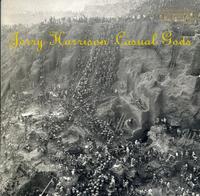Jerry Harrison, Casual Gods - Casual Gods -  Preowned Vinyl Record