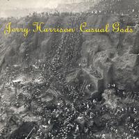 Jerry Harrison - Casual Gods -  Preowned Vinyl Record