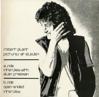 Robert Plant - Pictures at Eleven - Interview *Topper Collection