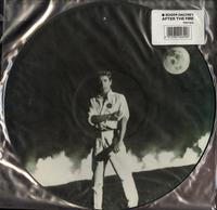 Roger Daltrey - After The Fire
