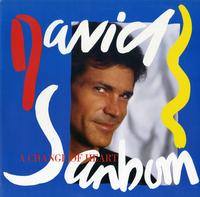 David Sanborn - A Change of Heart -  Preowned Vinyl Record