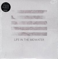 Aisha Burns - Life In The Midwater -  Preowned Vinyl Record