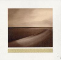 Brian Eno - Small Craft On A Milk Sea -  Preowned Vinyl Record