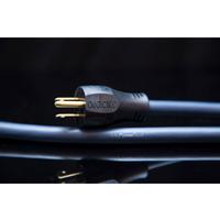 Audience - Forte F3 powerChord -  Cable