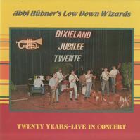 Abbi Hubner's Low Down Wizards - Twenty Years -  Preowned Vinyl Record