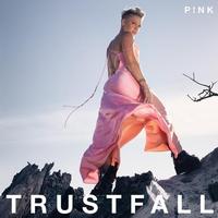 P!nk - Trustfall -  Vinyl LP with Damaged Cover
