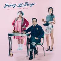Pokey LaFarge - Something In The Water -  Vinyl LP with Damaged Cover