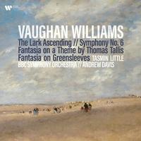 Tasmin Little - Vaughan Williams: Lark Ascending, Sym 6, Fantasia on a Theme by Tallis/ Davis -  Vinyl LP with Damaged Cover