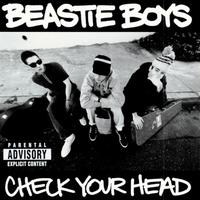 Beastie Boys - Check Your Head