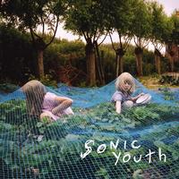 Sonic Youth - Murray Street -  Vinyl Record