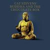 Yusuf/Cat Stevens - Buddha And The Chocolate Box -  180 Gram Vinyl Record