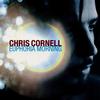 Chris Cornell - Euphoria Morning -  Vinyl Record