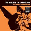 JJ Grey & Mofro - Orange Blossoms -  Vinyl Record