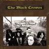 The Black Crowes - The Southern Harmony and Musical Companion: Remastered
