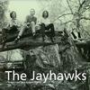 The Jayhawks - Tomorrow The Green Grass -  180 Gram Vinyl Record