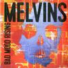Melvins - Bad Mood Rising -  Vinyl Record
