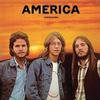 America - Homecoming -  45 RPM Vinyl Record