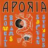 Sufjan Stevens and Lowell Brams - Aporia -  Vinyl Record