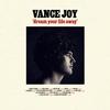 Vance Joy - Dream Your Life Away -  Vinyl Record