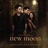 Various Artists - The Twilight Saga: New Moon -  Vinyl Record